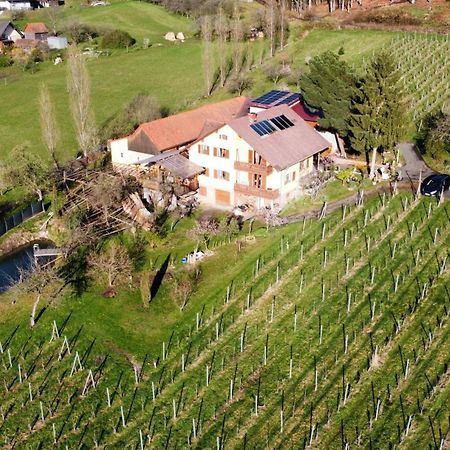 Appartement Weingut Schoberhof Bad Gleichenberg Bagian luar foto