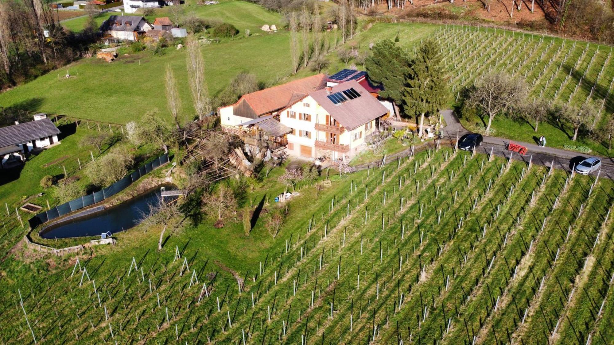 Appartement Weingut Schoberhof Bad Gleichenberg Bagian luar foto