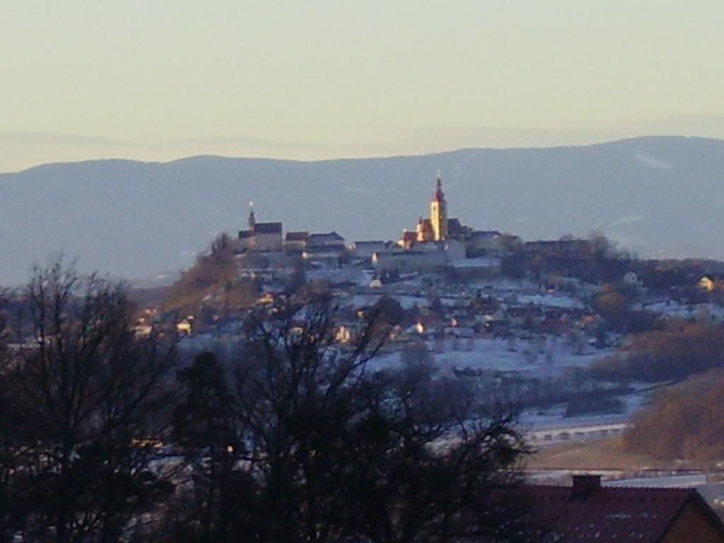 Appartement Weingut Schoberhof Bad Gleichenberg Ruang foto
