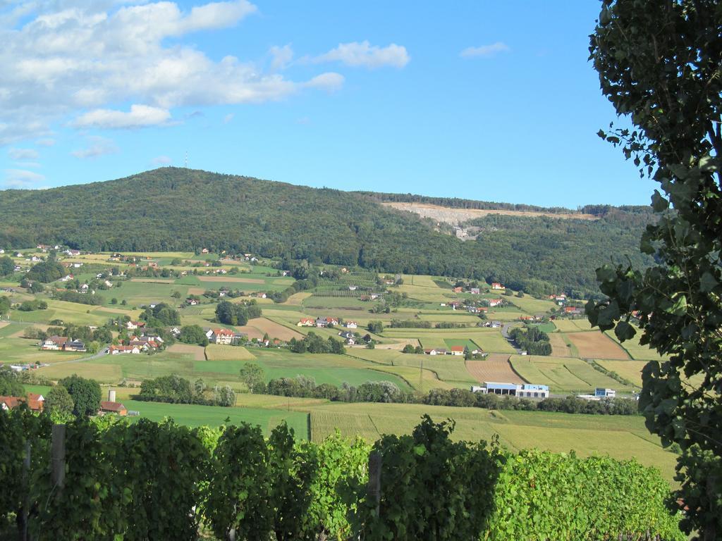 Appartement Weingut Schoberhof Bad Gleichenberg Ruang foto