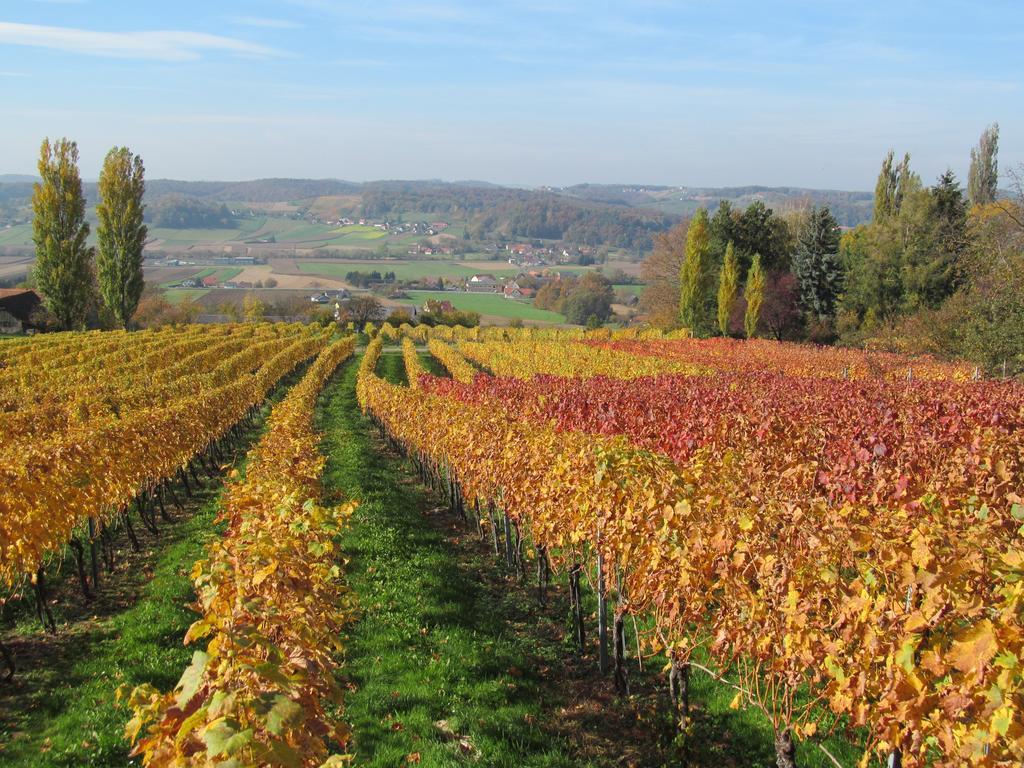 Appartement Weingut Schoberhof Bad Gleichenberg Ruang foto