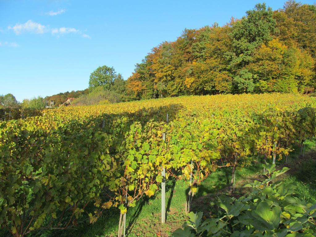 Appartement Weingut Schoberhof Bad Gleichenberg Ruang foto