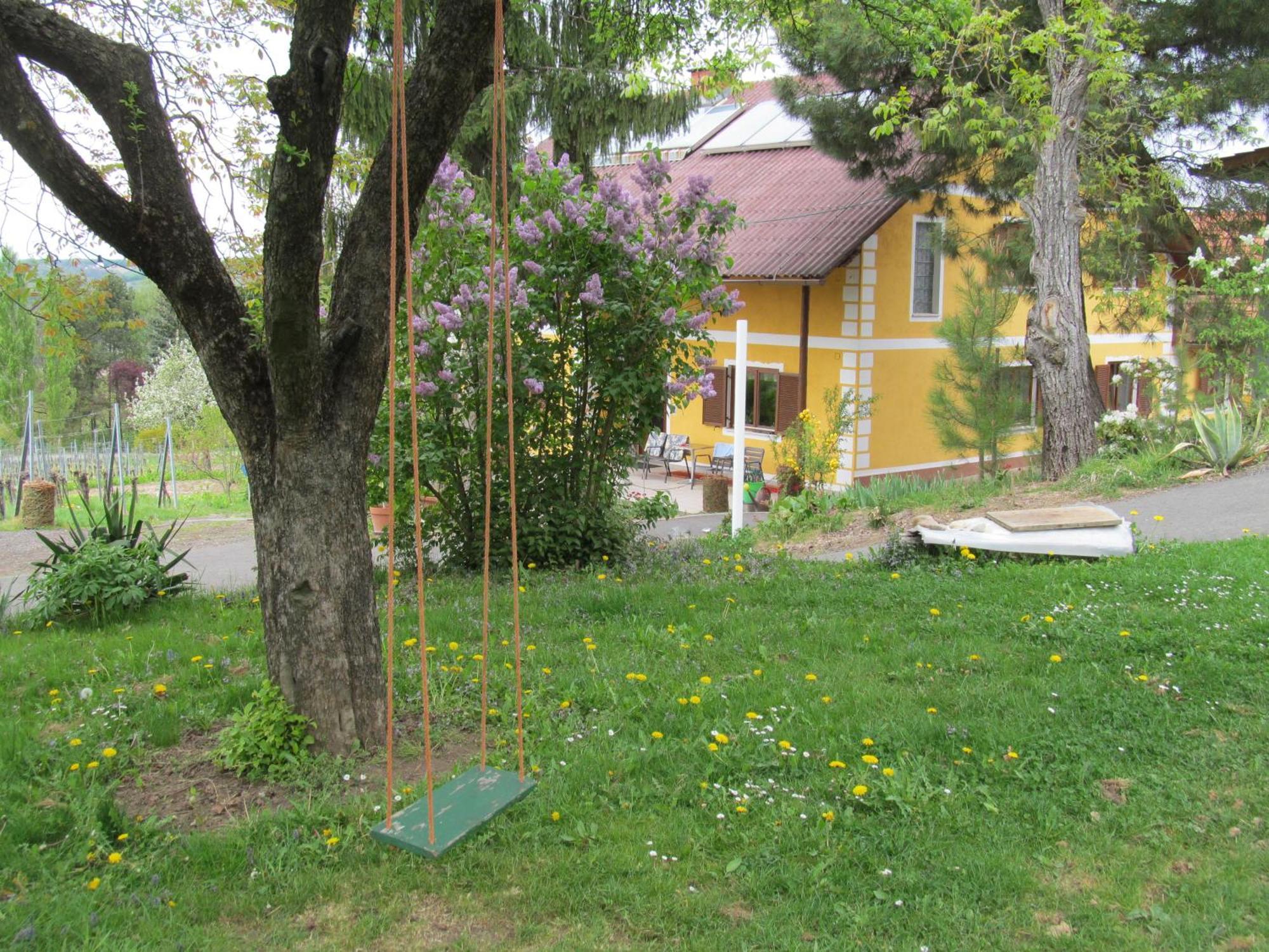 Appartement Weingut Schoberhof Bad Gleichenberg Bagian luar foto
